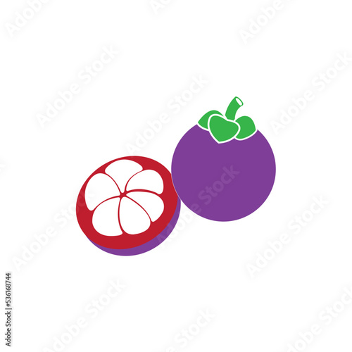 mangosteen icon logo vector design template