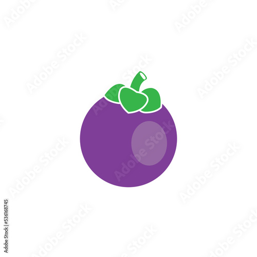 mangosteen icon logo vector design template
