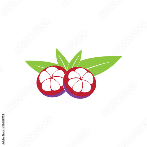 mangosteen icon logo vector design template