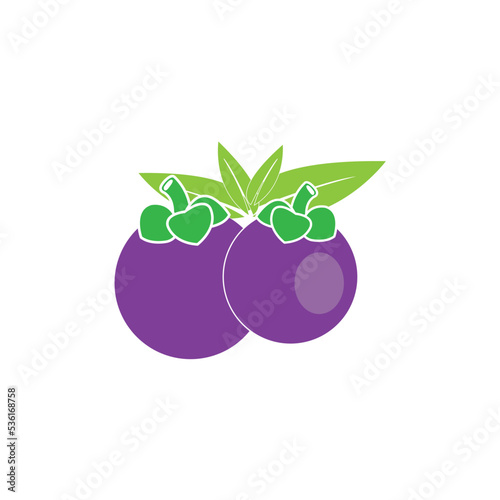 mangosteen icon logo vector design template