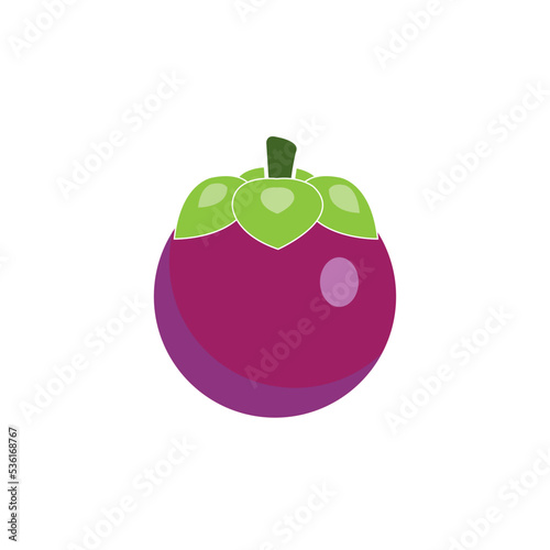 mangosteen icon logo vector design template