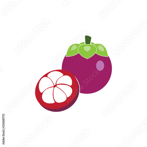 mangosteen icon logo vector design template