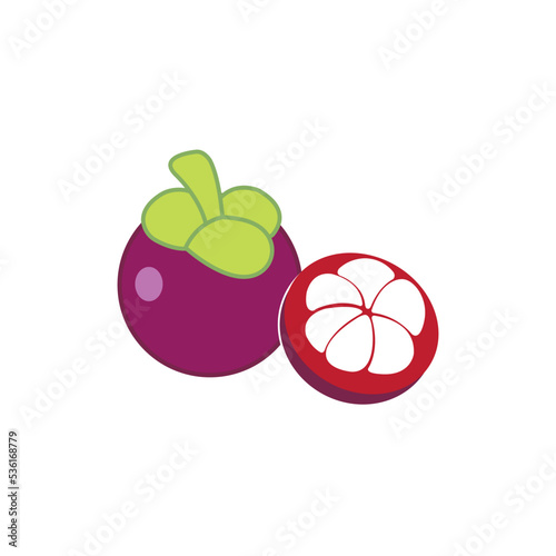 mangosteen icon logo vector design template