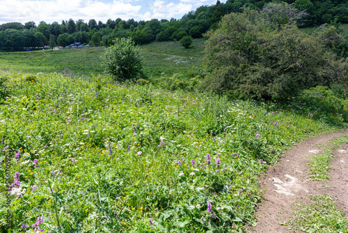 dirt roads on subalpine meadows in a mountainous area on a summer day .*