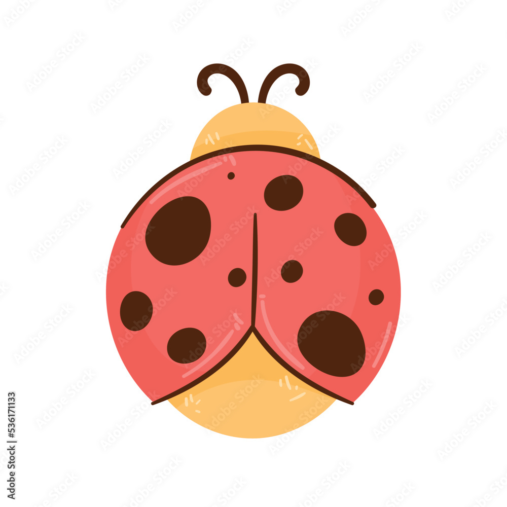 cute butterfly animal character cute butterfly animal character