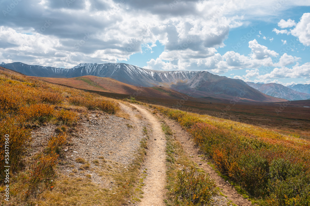Motley autumn landscape with hiking trail on sunlit high plateau toward snowy mountain range under cloudy sky. Vivid autumn colors in mountains. Sunlight and shadows of clouds in changeable weather.