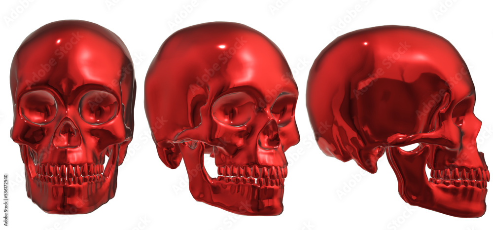 human skull, skeleton, head, halloween human skull, skeleton, head, halloween