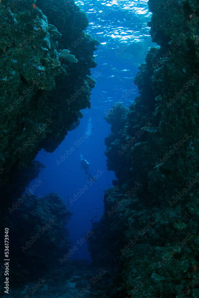 Fototapeta premium Coral reefs of the Fiji Islands