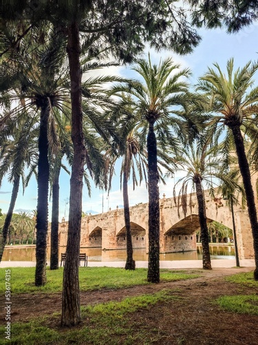 In the Jardí del Túria park in Valencia, Spain