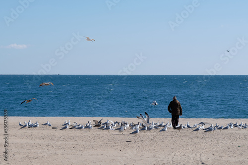 a man on the beach is feeding birds on the beach