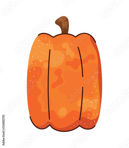 pumpkin vegetable autumnal