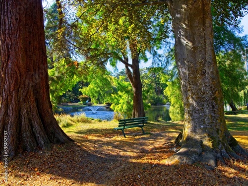Bench overlooking a lake with fountain in Beacon Hill Park, Victoria BC photo