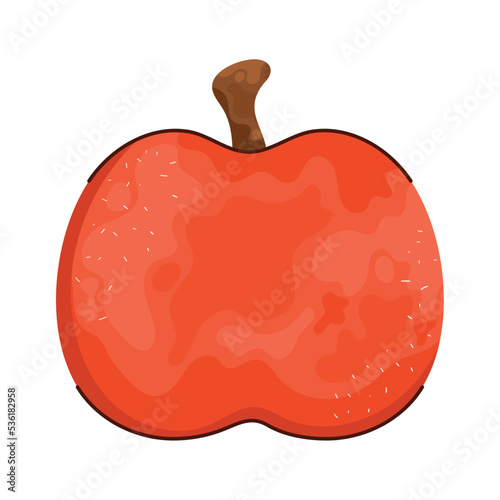fresh apple fruit red