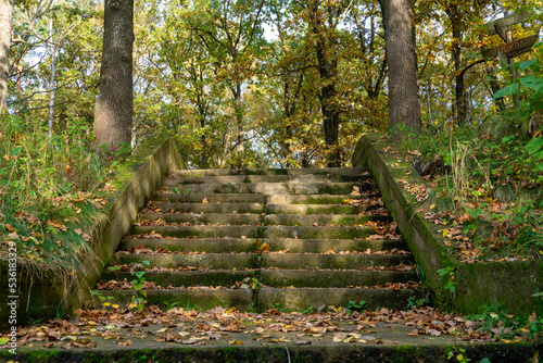 An old abandoned concrete staircase in the forest covered with moss and fallen leaves. Autumn landscape in the forest. An abandoned and destroyed building in a remote forest.