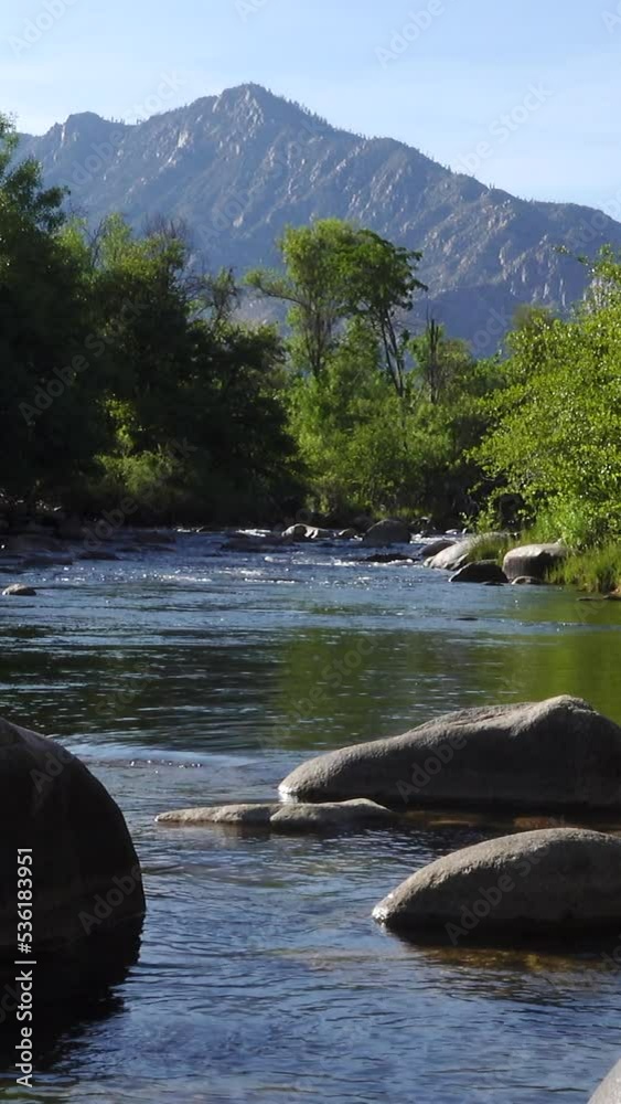 Vertical video of mountain river with forest and boulders