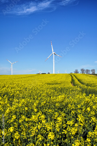 Wind turbines in the field of sunflowers