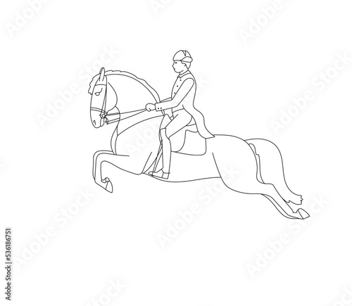 Equestrian sports, classical dressage. A rider on a horse demonstrates a jump.