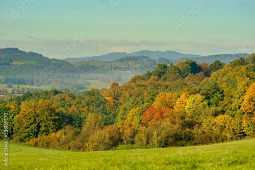 Autumn rural landscape with colorful tree leaves on background.