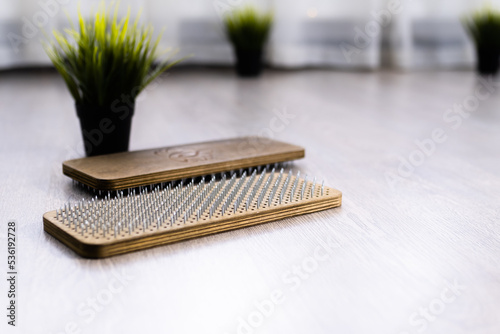 wooden sadhu board with sharp nails. Green plant in white pot near. Concept alternative medicine