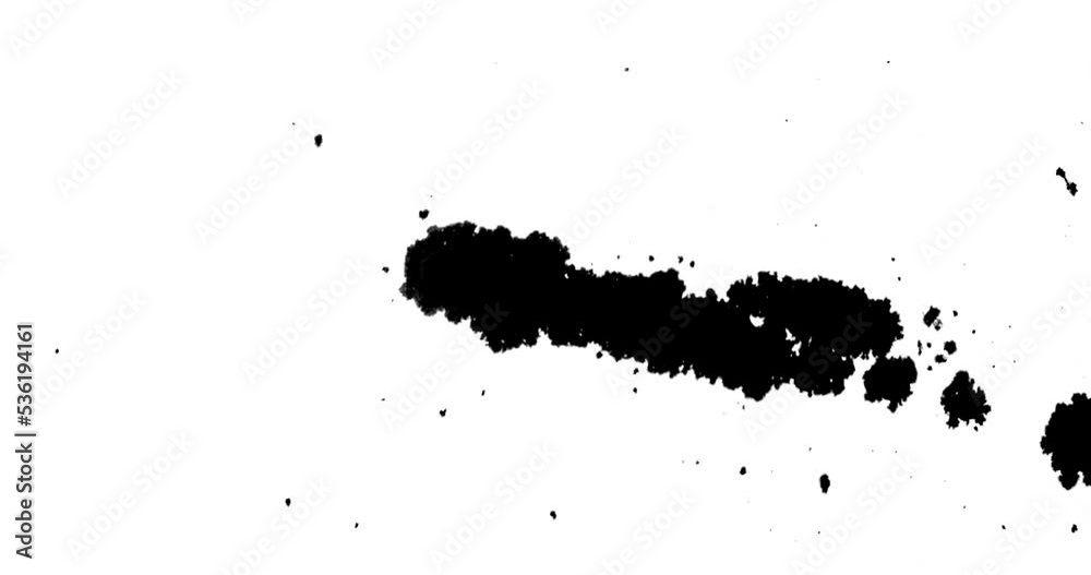 Black Ink Drip Impact On White Surface Black Ink Drip Impact On White Surface