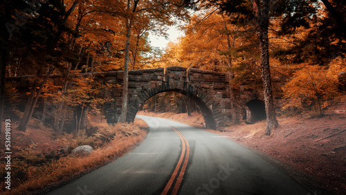 Historic bridge in Acadia National Park during the Fall months. 