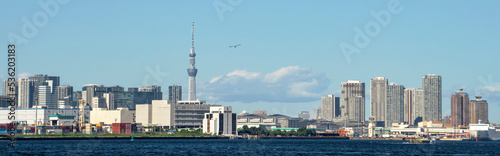 東京湾にスカイツリーとビル群／青空のコピースペース／日本東京都 photo