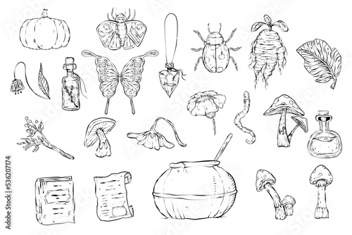 Potion making stuffs witchcraft outline tattoo style for halloween decoration