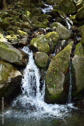 Clear stream flowing in the mountains