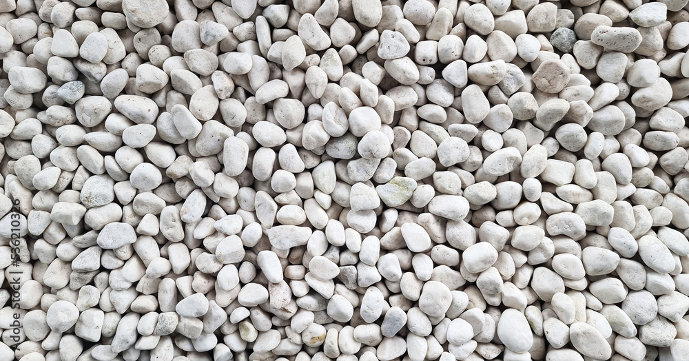 grunge white pebbles texture. small stones on the ground. top view of natural colorful gravel on japanese zen garden.