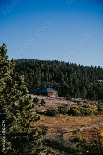 moose in a meadow in front of a Rocky Mountain cabin