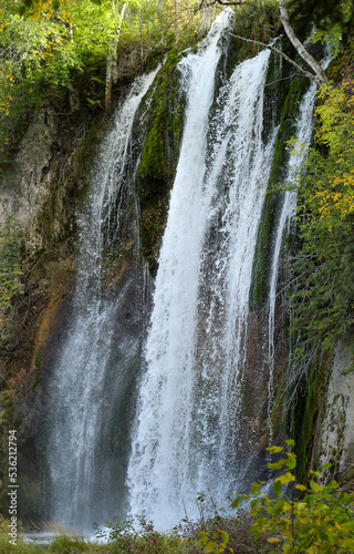 waterfall in the forest