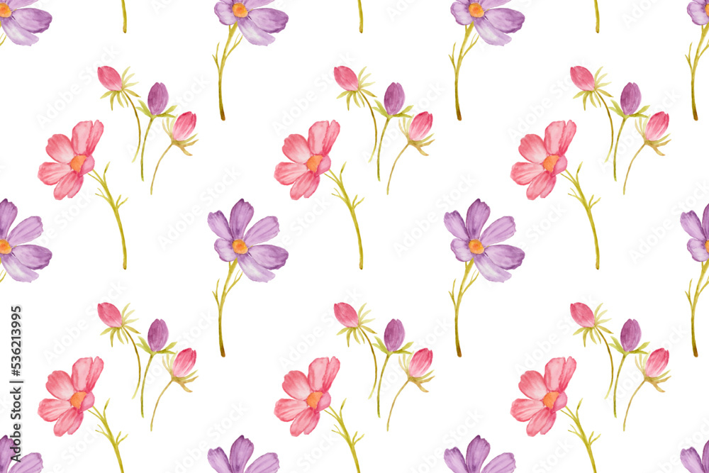 Watercolor cosmos flowers as seamless pattern. Watercolor cosmos flowers as seamless pattern.
