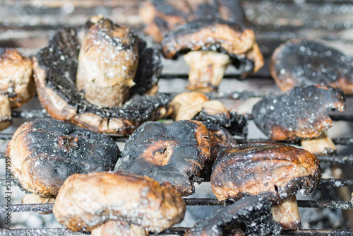 ready-burnt champignons with a crust, on a grill grate, close-up