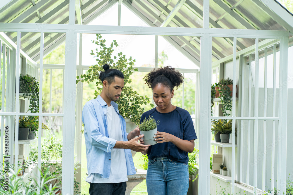 African American wife and an Asian husband take care of the plants and water the plants as a happy pastime together in the backyard.