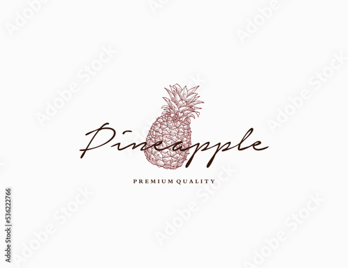 Vintage handdrawn pineapple logo design