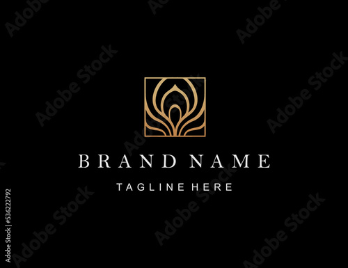 Abstract luxury feather logo vector