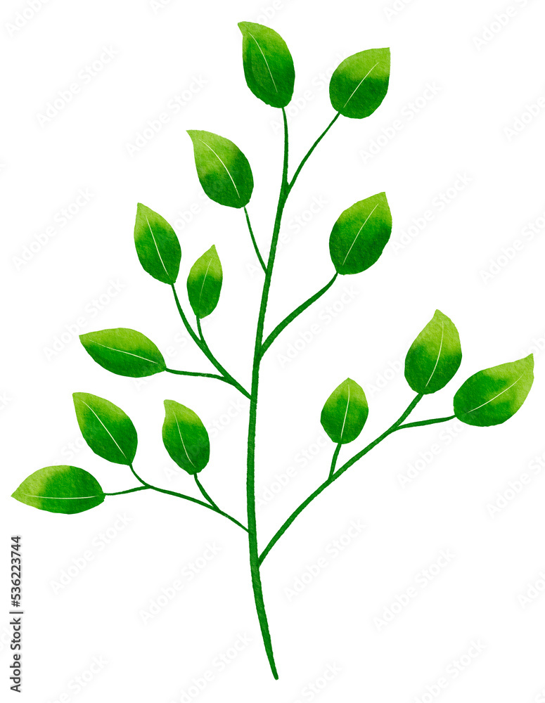 green leaf watercolor