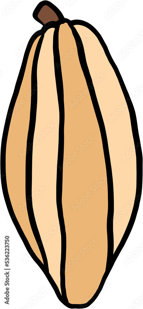 doodle freehand sketch drawing of cacao fruit. doodle freehand sketch drawing of cacao fruit.