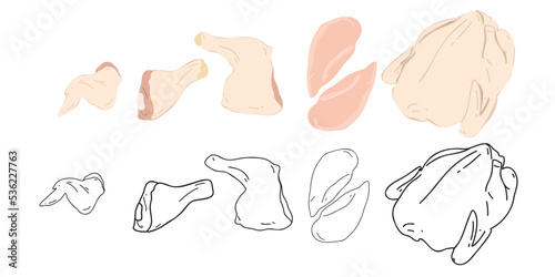 Set of fresh chicken carcass, thigh, leg, wing and fillet on a white background. Flat and doodle vector illustration