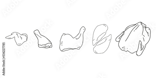 Set fresh chicken carcass, thigh, leg, wing and fillet on a white background doodle, hand drawn or linear. Flat vector illustration
