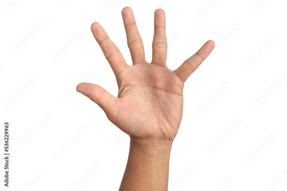 man hand showing number five gesture sign isolated on white background man hand showing number five gesture sign isolated on white background