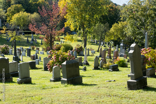 Valokuvatapetti Tombstones at Montreal Cemetery in Autumn