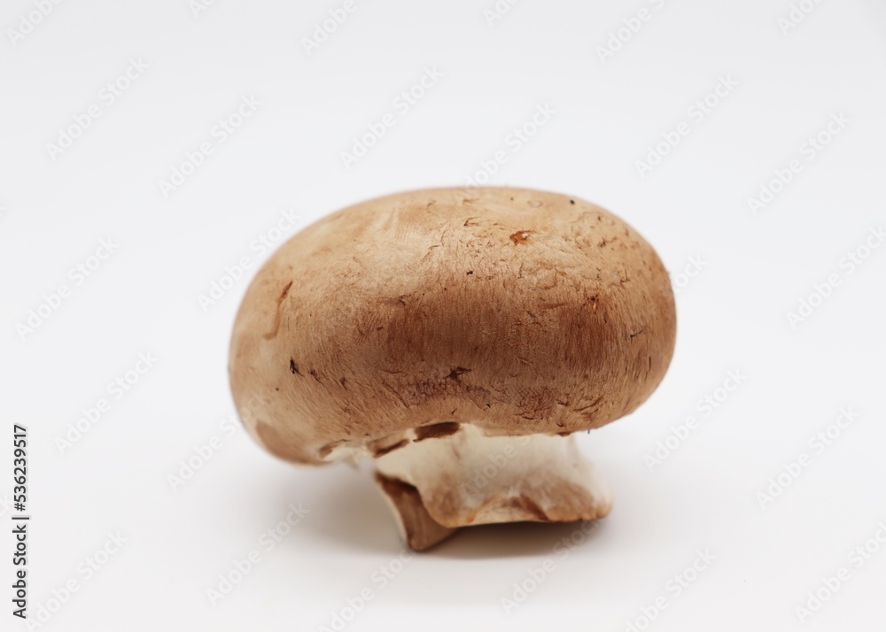 champignon on a white background