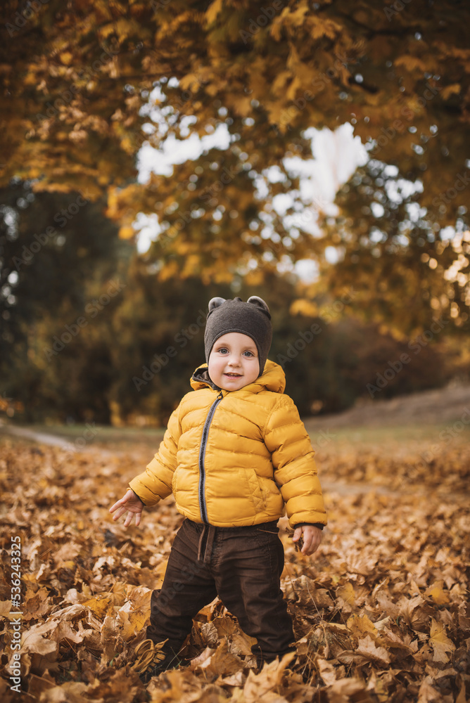 Little boy in yellow jacket playing with autumn fallen leaves in park. Child laughing throwing up orange maple leaves. Little boy in yellow jacket playing with autumn fallen leaves in park. Child laughing throwing up orange maple leaves.