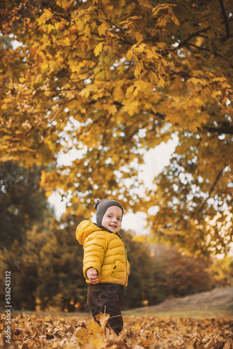 Little boy in yellow  jacket playing with autumn fallen leaves in park. Child laughing throwing up orange maple leaves. © illustrissima