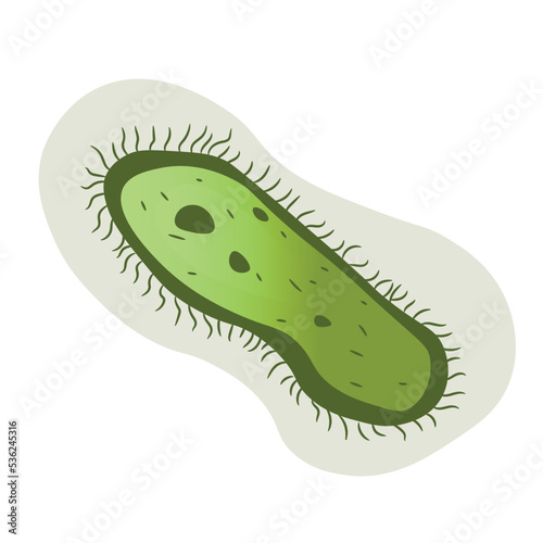 Green infusoria on white background photo