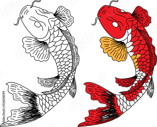 Hand drawn line art of fish (Koi carp). Vector isolated. Idea for tattoo and coloring books.