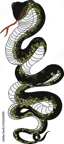 Outline of snake vector. Hand drawn cobra isolate on white background.
