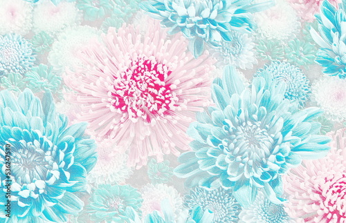 Relief of pink and blue flowers. chrysanthemum arrangement. 3D illustration. 3D render