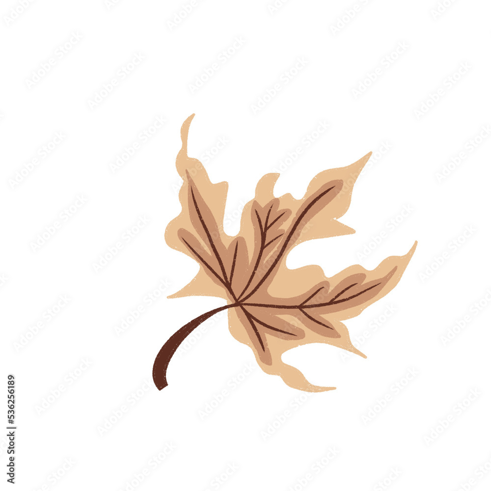 Autumn Leaves Icon Autumn Leaves Icon